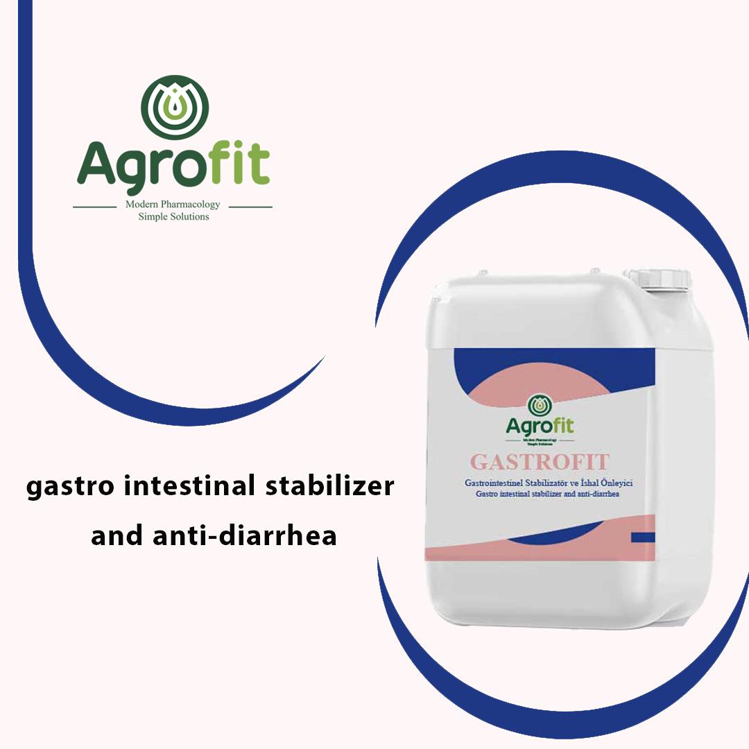 Gastro intestinal stabilizer and anti-diarrhea