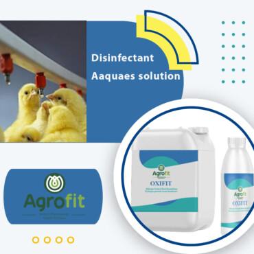 Disinfectant aqueous solution