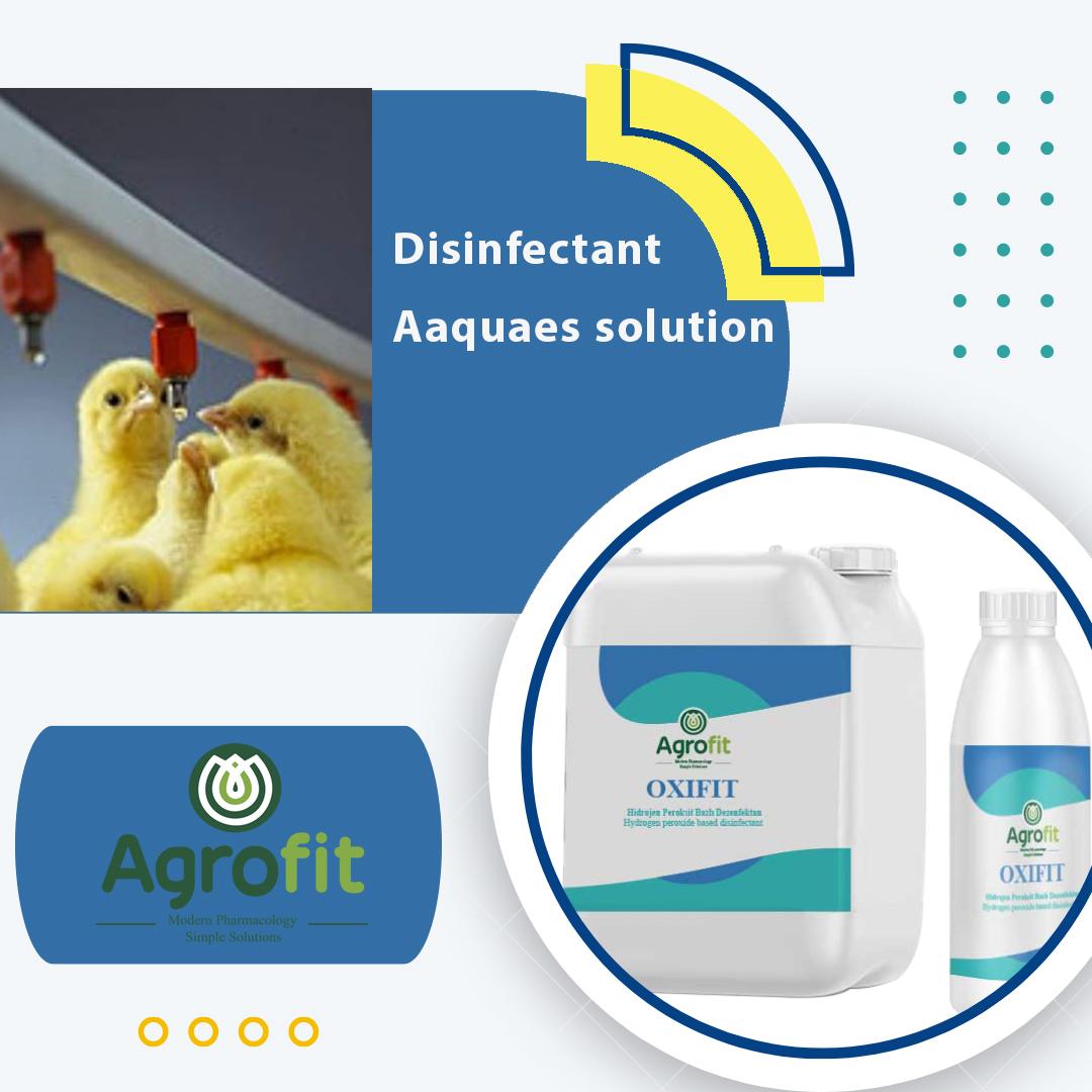 Disinfectant aqueous solution