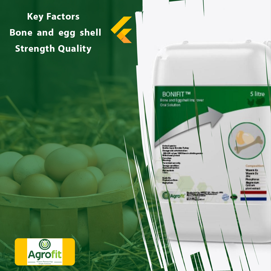 Key Factors Bone and egg shell Strength Quality